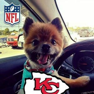 Meet your Posher, Holly